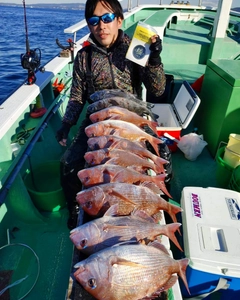 マダイの釣果