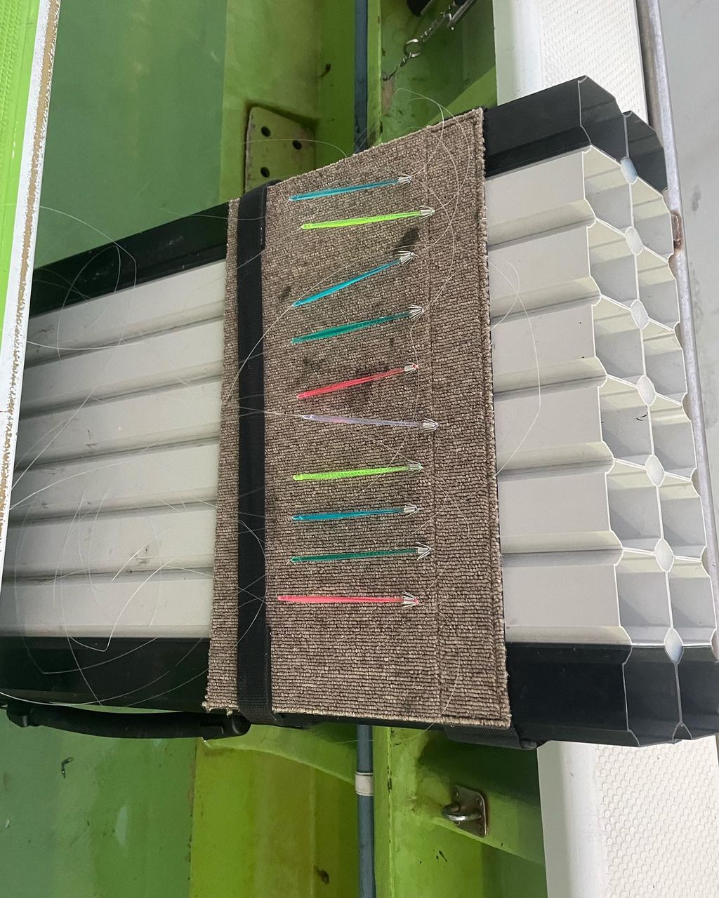 群馬の海人さんの釣果 2枚目の画像