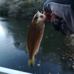 しょう0328の釣果