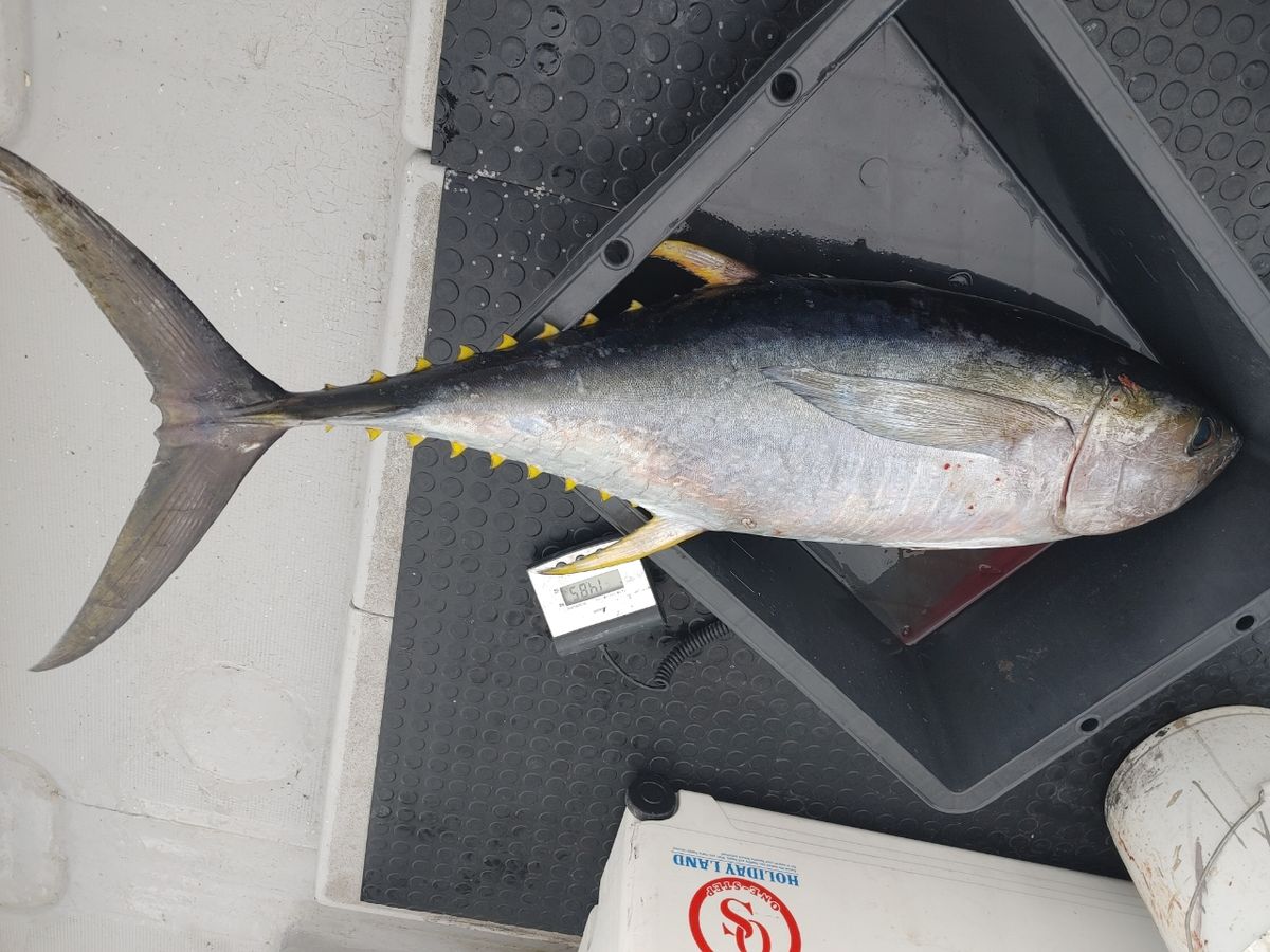 三重県ジギング船　絆さんの釣果 3枚目の画像