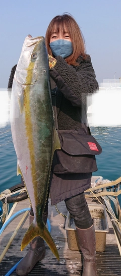 ヒラマサの釣果