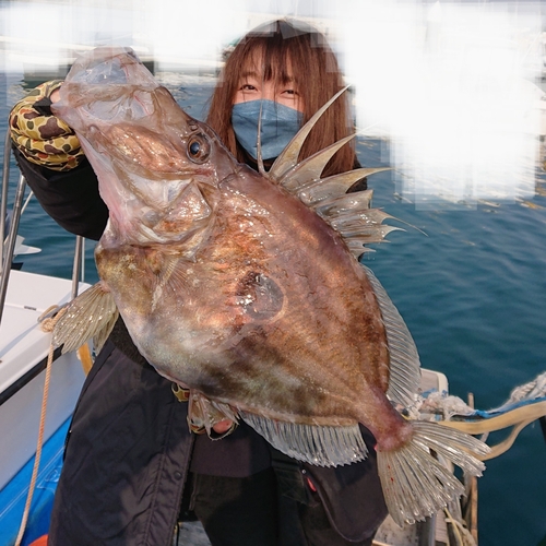 マトウダイの釣果