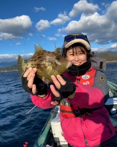 カワハギの釣果