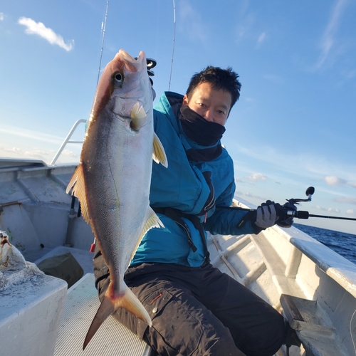 シオの釣果