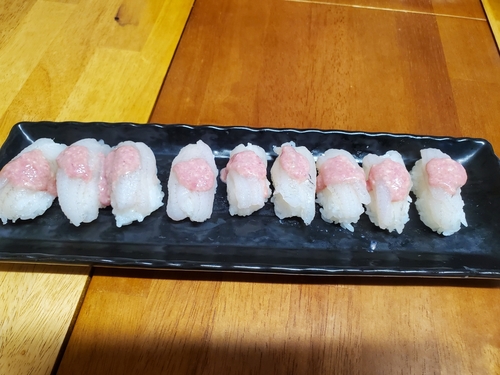 マハゼの釣果