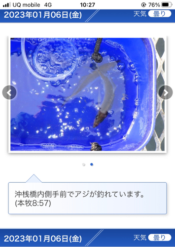 アジの釣果