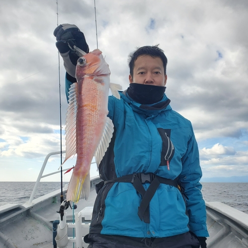 アマダイの釣果