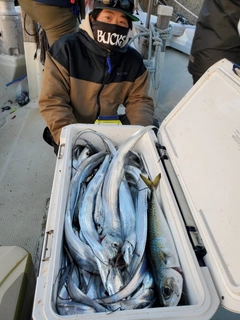 タチウオの釣果