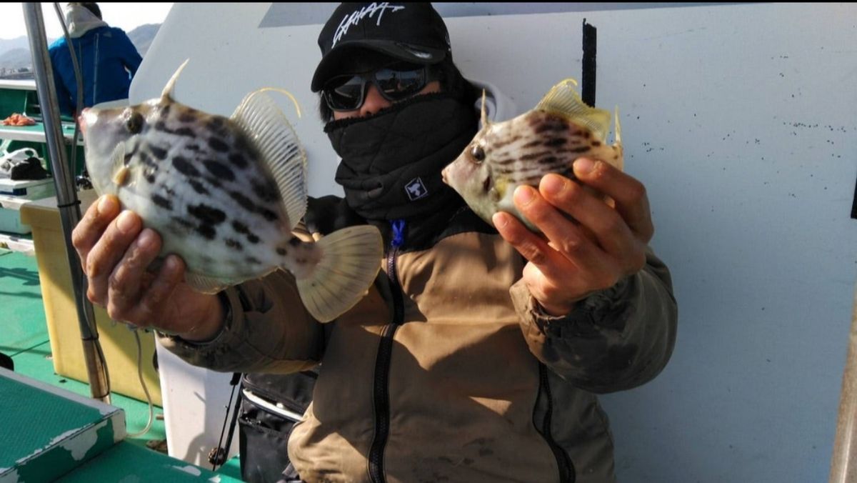 りょーたくんさんの釣果 3枚目の画像