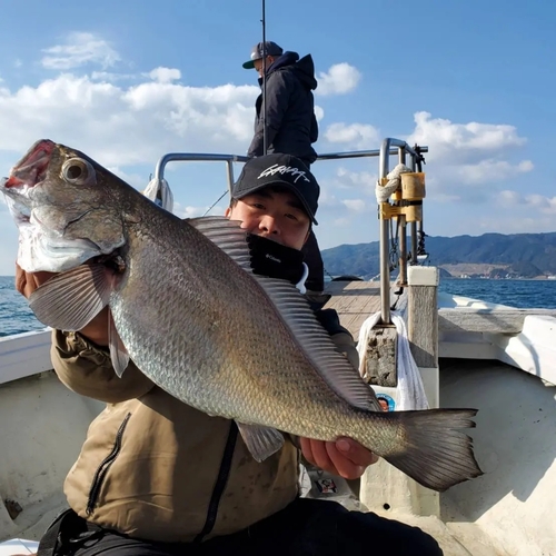 クログチの釣果