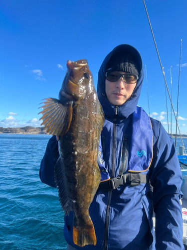 アイナメの釣果