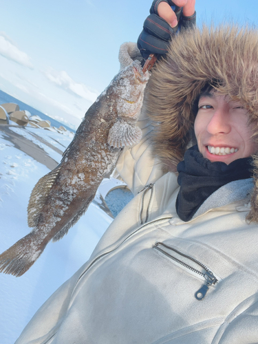 アブラコの釣果