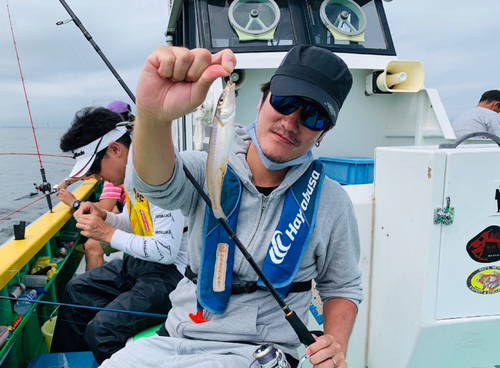 シロギスの釣果