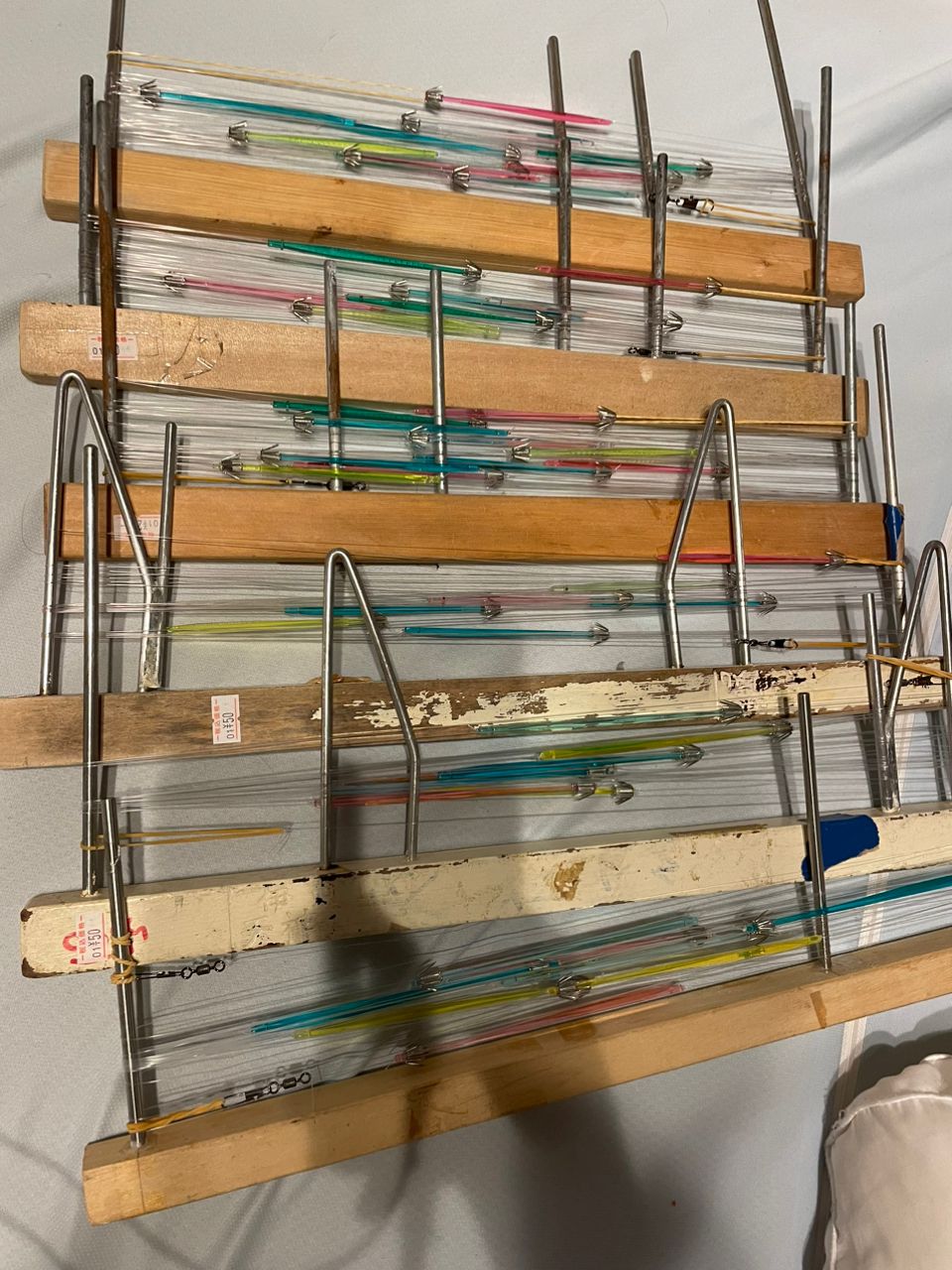 群馬の海人さんの釣果 2枚目の画像