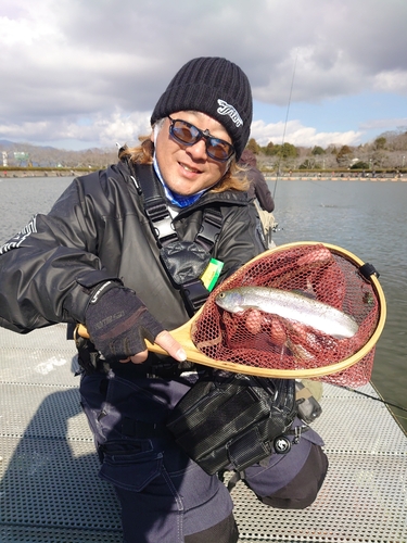 レインボートラウトの釣果