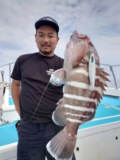 マハタの釣果