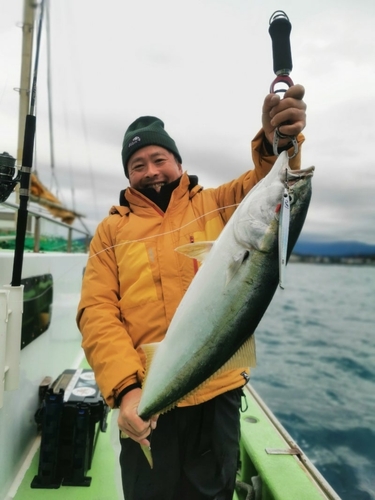 ワラサの釣果