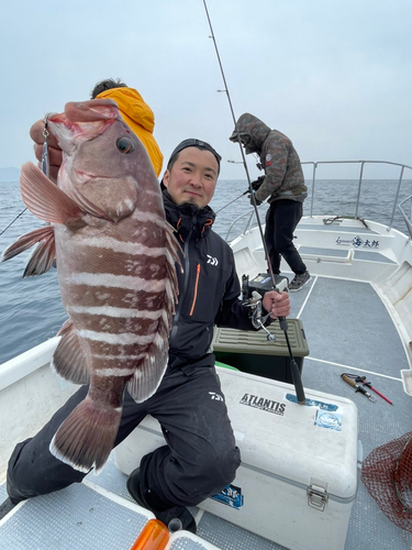 マハタの釣果