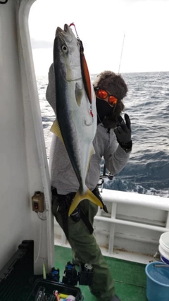 メジロの釣果