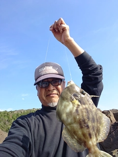 カワハギの釣果