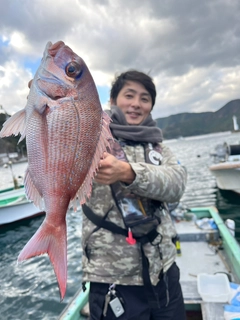 チダイの釣果