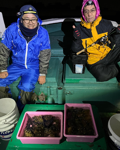 ガシラの釣果