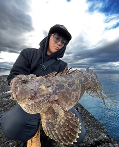 ケムシカジカの釣果