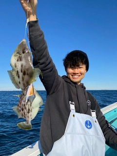 カワハギの釣果