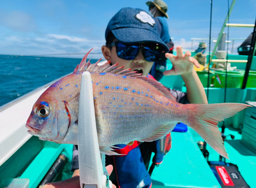 ハナダイの釣果