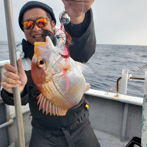 レンコダイの釣果