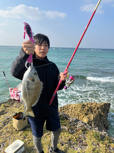 ミナミクロダイの釣果