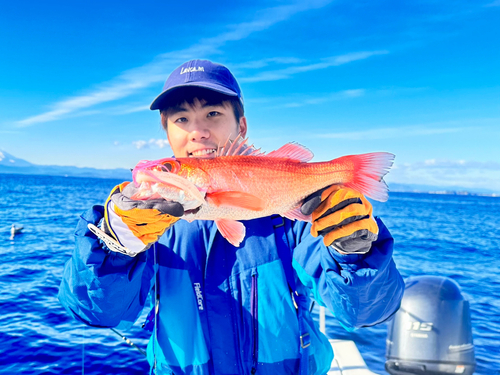 アカムツの釣果