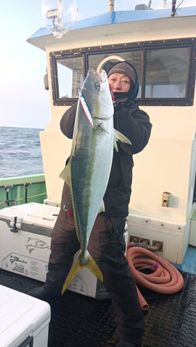 ブリの釣果