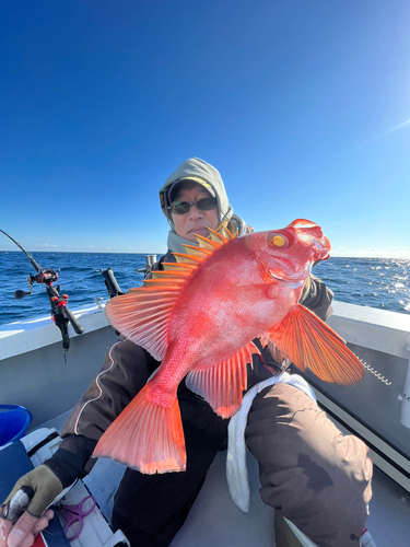 チカメキントキの釣果