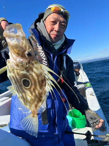 マトウダイの釣果