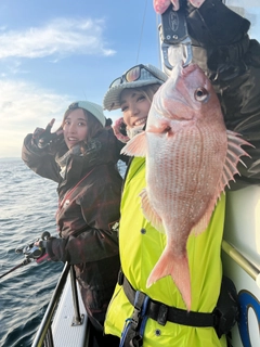 マダイの釣果