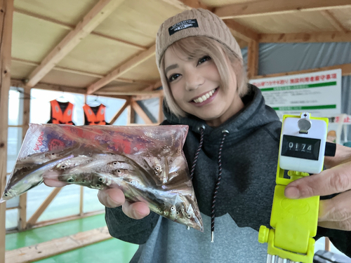 ワカサギの釣果