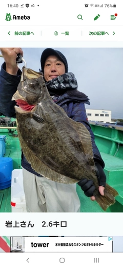 ヒラメの釣果