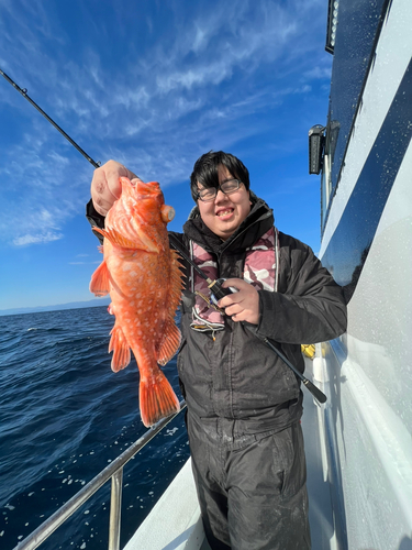 ウッカリカサゴの釣果