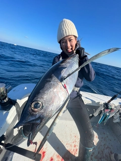 ビンチョウマグロの釣果