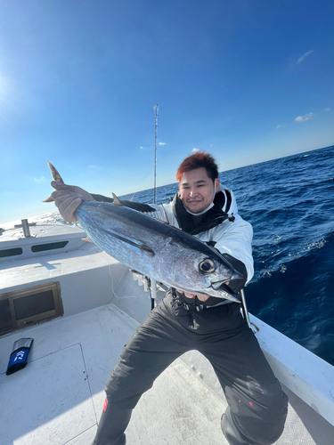 ビンチョウマグロの釣果