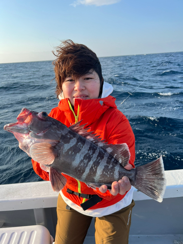 マハタの釣果