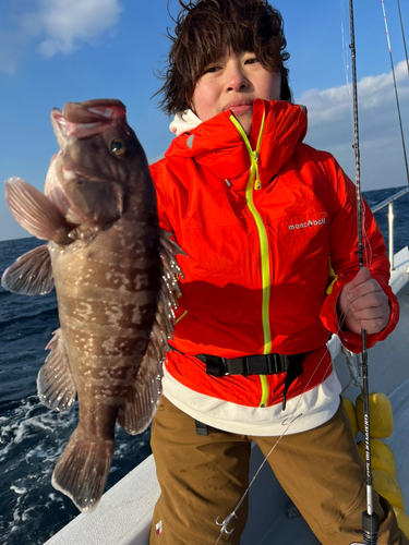 マハタの釣果