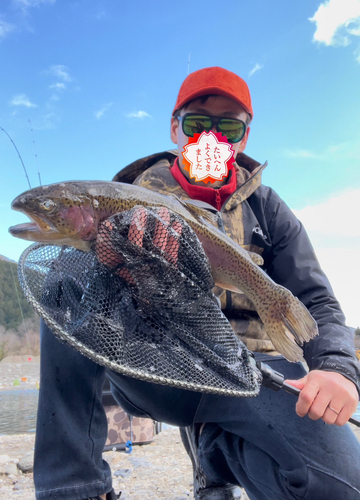 ニジマスの釣果