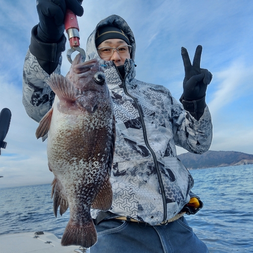 マゾイの釣果