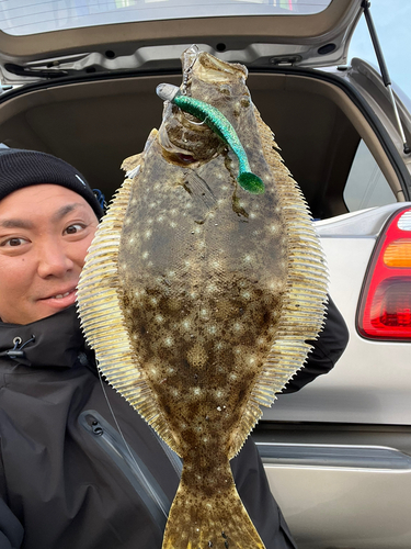 ヒラメの釣果