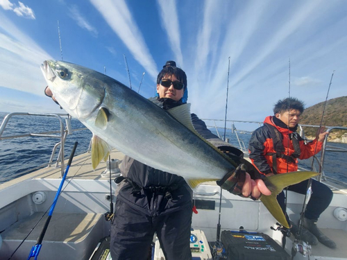 ハマチの釣果