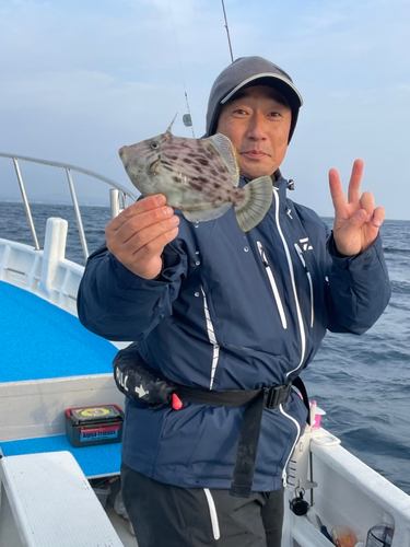 カワハギの釣果