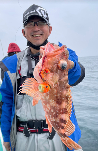 ボッコの釣果