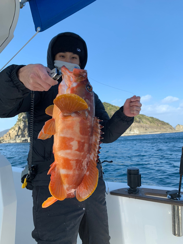 アカハタの釣果